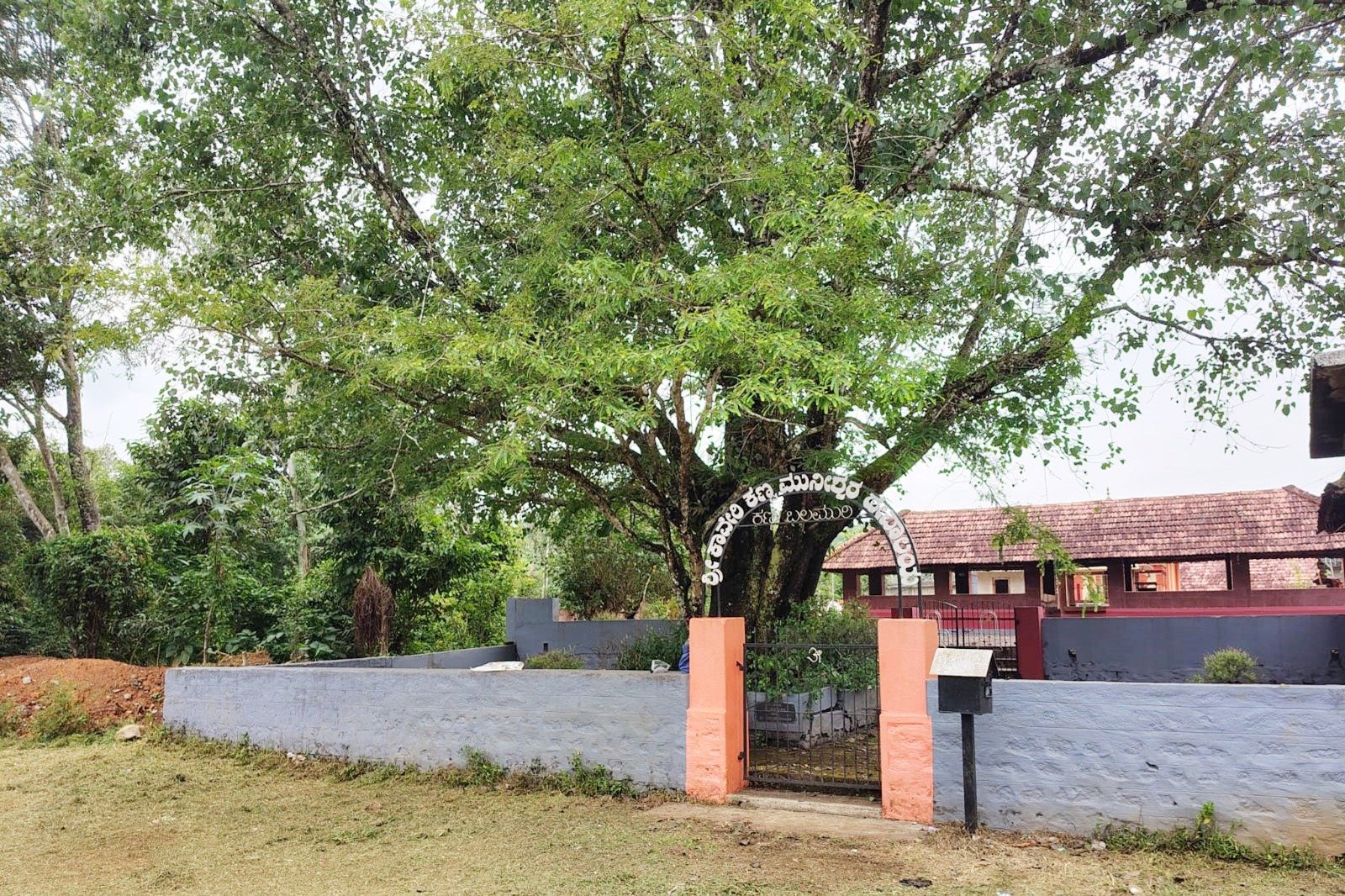 ಬಲಮುರಿಯಲ್ಲಿ ಇಂದು ಕಾವೇರಿ ಜಾತ್ರಾ ಮಹೋತ್ಸವ: ಸಕಲ ಸಿದ್ಧತೆ ಪೂರ್ಣ image 5